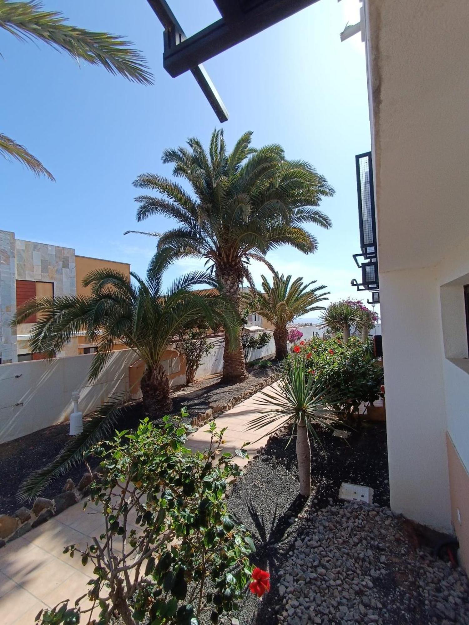 Apartamento Reload Complex Amaya Fuerteventura Costa De Antigua Ngoại thất bức ảnh